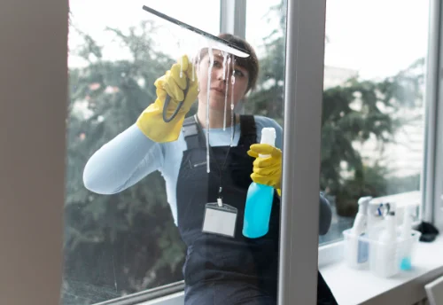Nettoyage de vitres intérieures et extérieures à Trévien